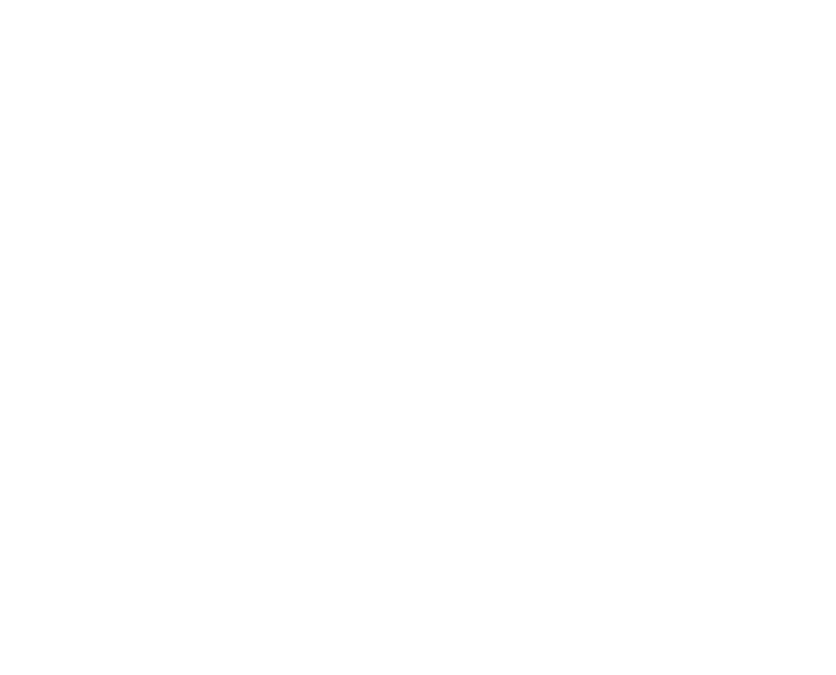 AspenFSP